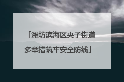 潍坊滨海区央子街道多举措筑牢安全防线